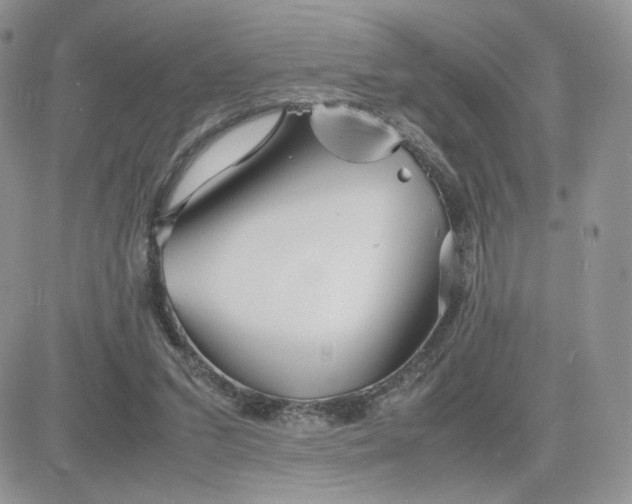 X0000081430207200701261831