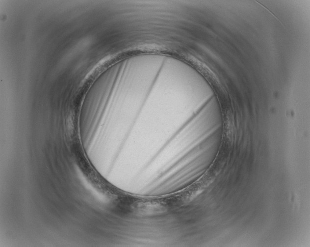 X0000081430208200701261831