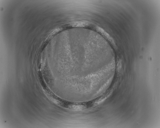 X0000081430209200701261831