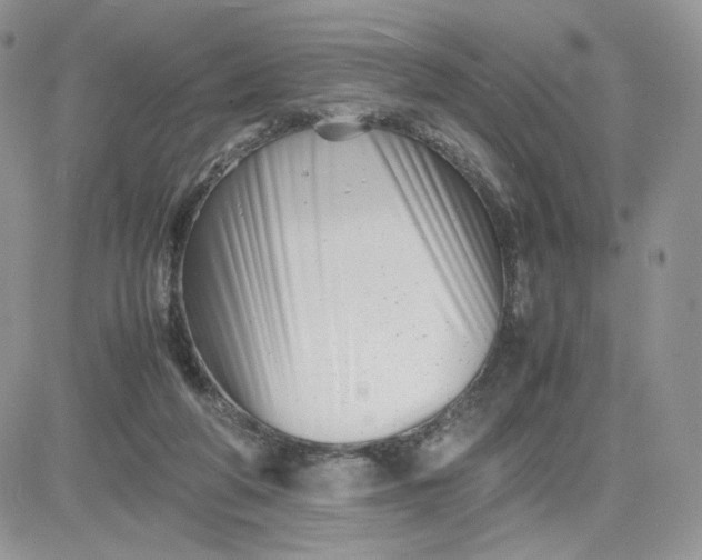 X0000081430210200701261831