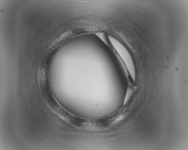 X0000081430211200701261831