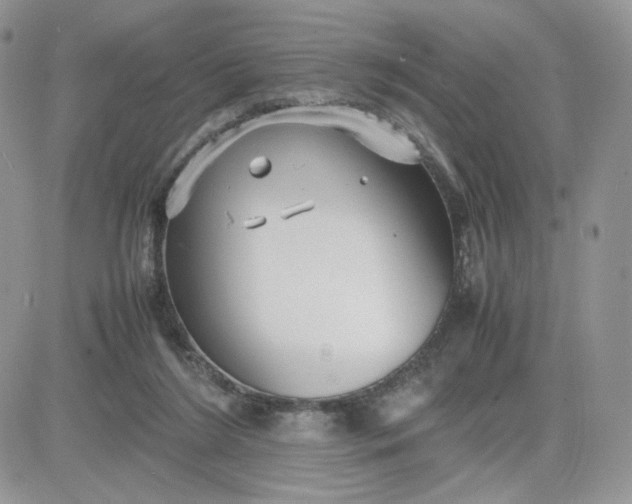 X0000081430212200701261831