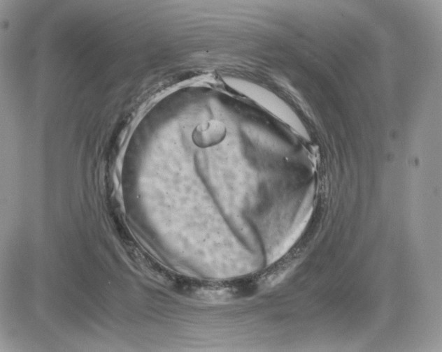 X0000081430213200701261831