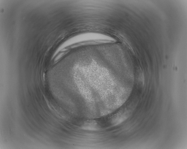 X0000081430214200701261831