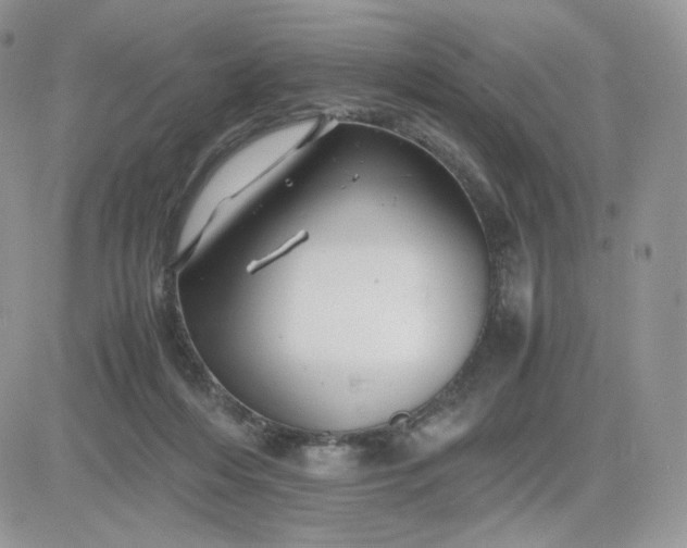 X0000081430216200701261831