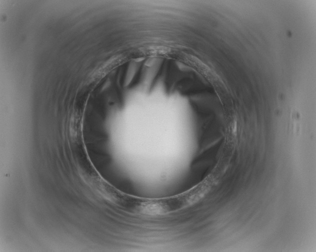 X0000081430218200701261831