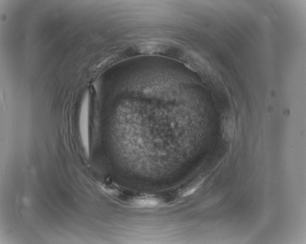 X0000081430219200701261831