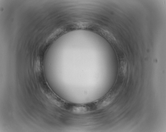 X0000081430220200701261831