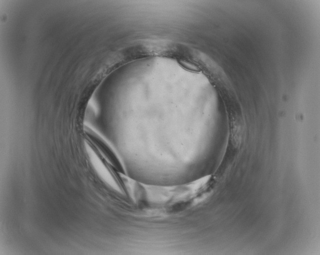 X0000081430221200701261831