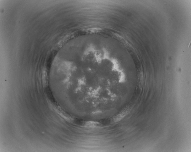 X0000081430222200701261831