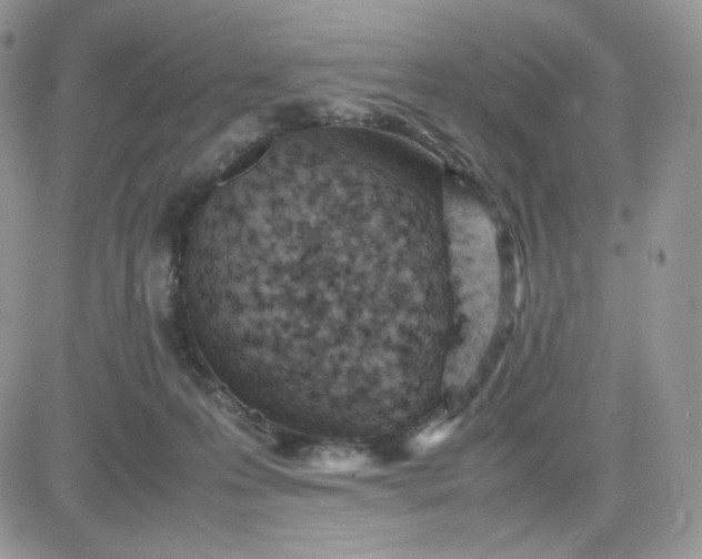 X0000081430223200701261830