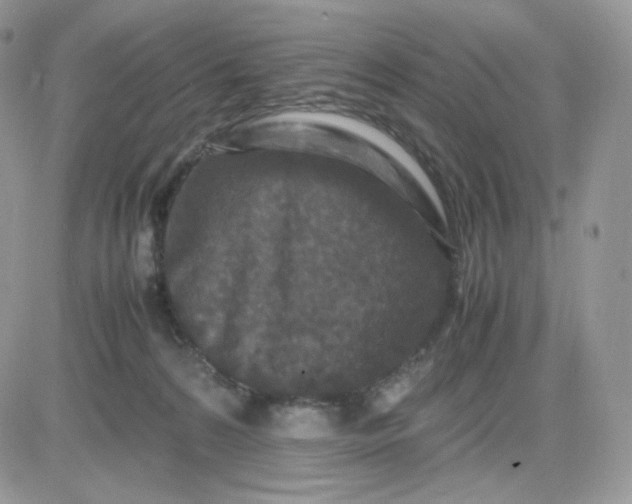 X0000081430224200701261830