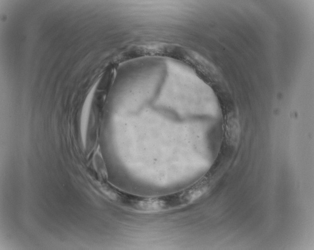 X0000081430225200701261830