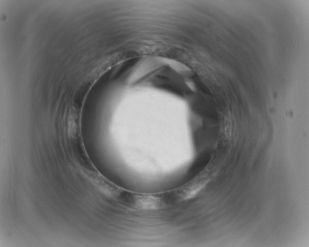 X0000081430226200701261830