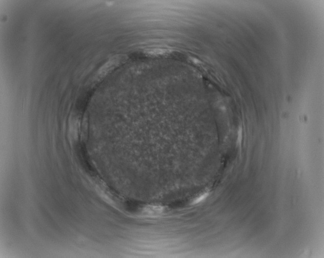 X0000081430227200701261830