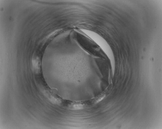 X0000081430228200701261830