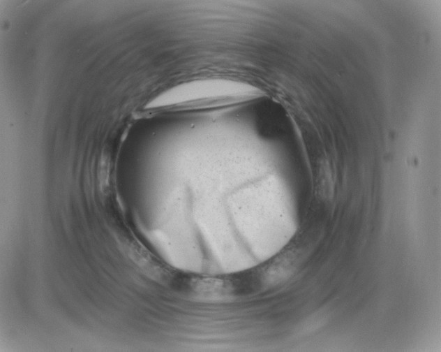 X0000081430230200701261830