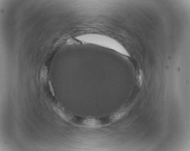 X0000081430231200701261830