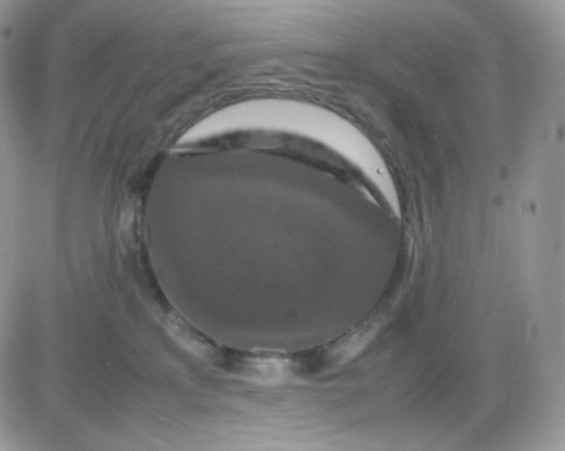 X0000081430233200701261830