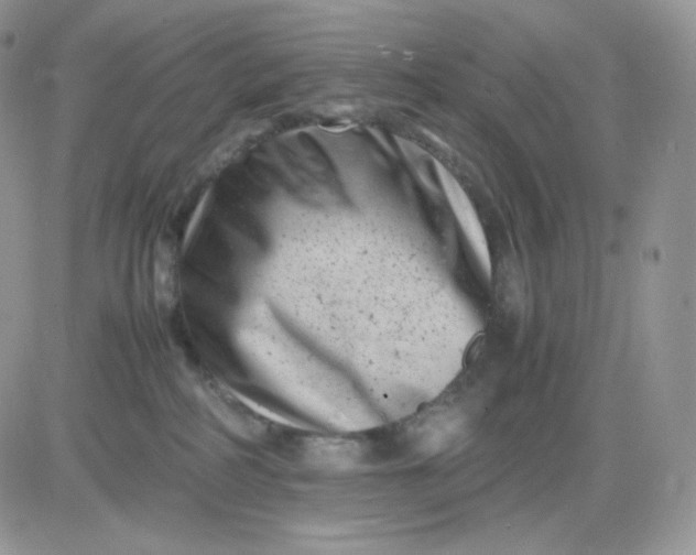 X0000081430234200701261830