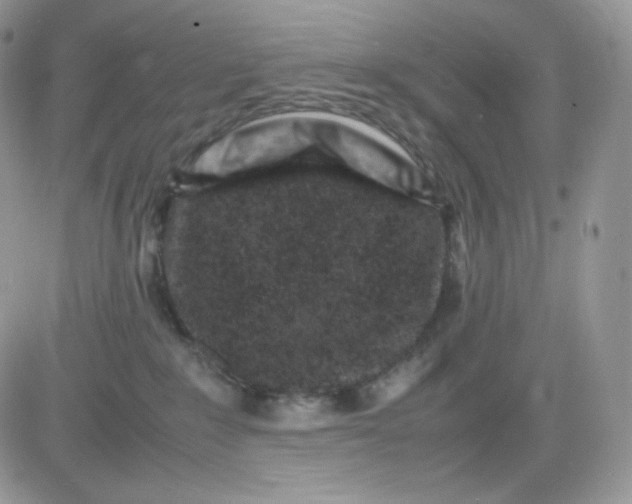 X0000081430235200701261830