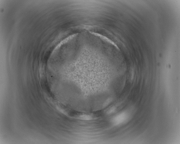 X0000081430236200701261830