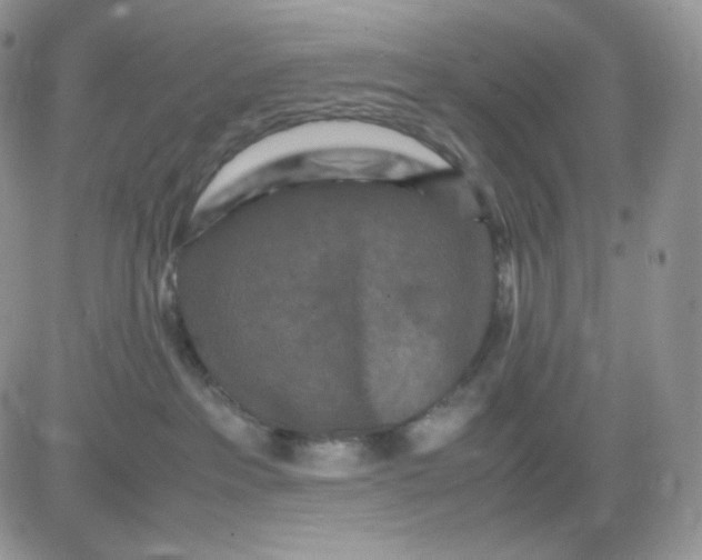 X0000081430237200701261830