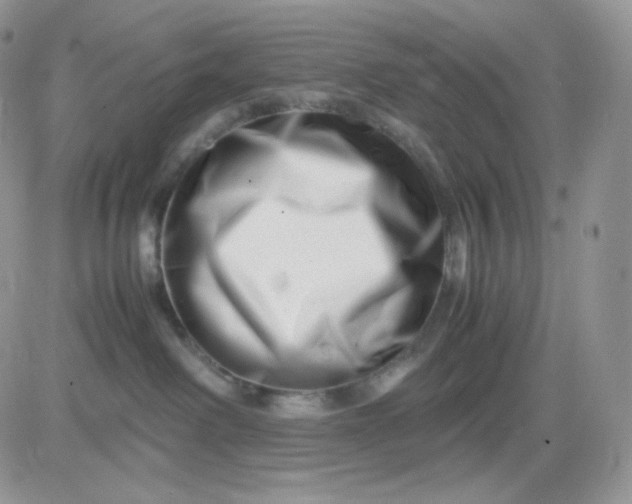 X0000081430238200701261830