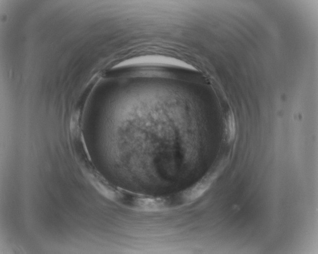 X0000081430239200701261830