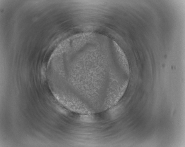 X0000081430240200701261830