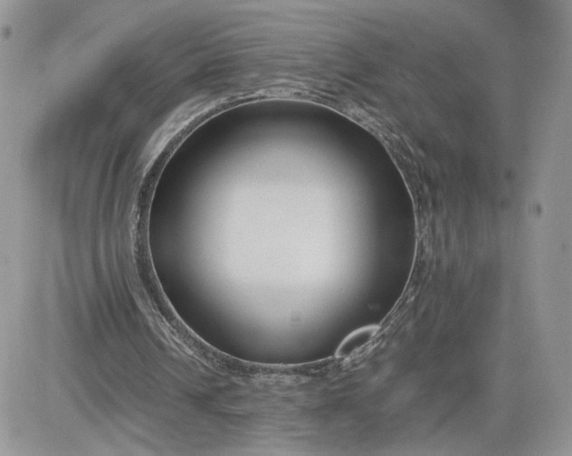 X0000081430242200701261829