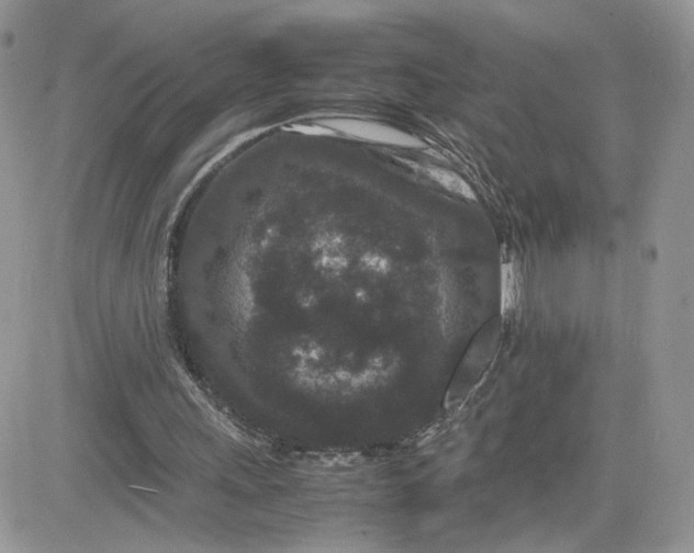 X0000081430243200701261829