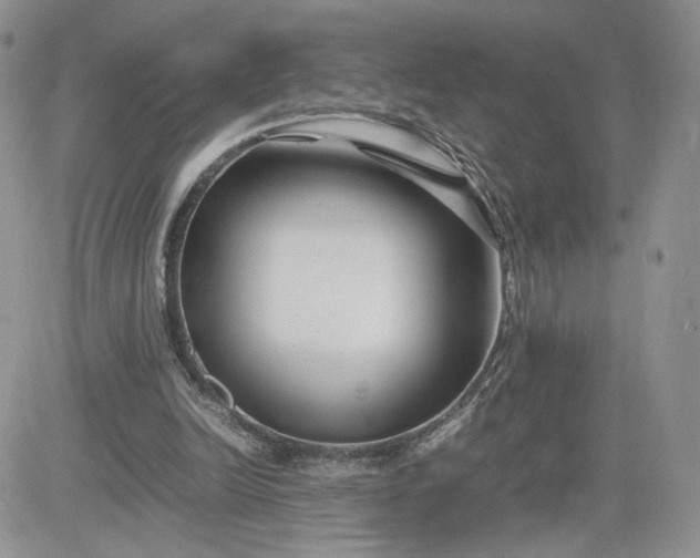 X0000081430246200701261830