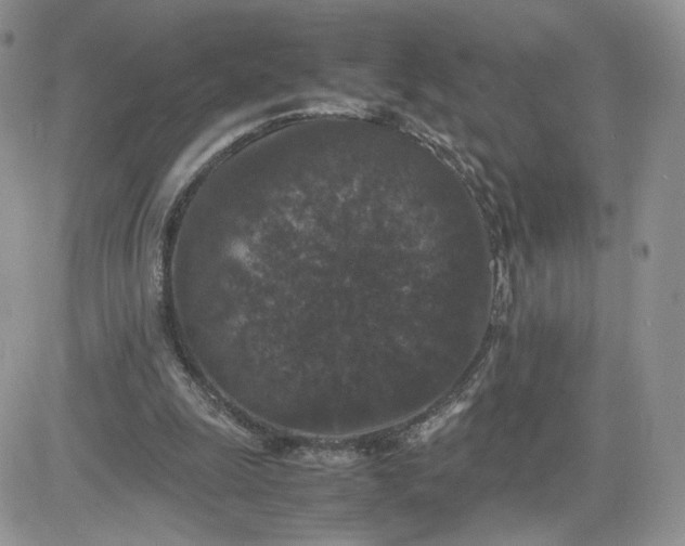 X0000081430247200701261830