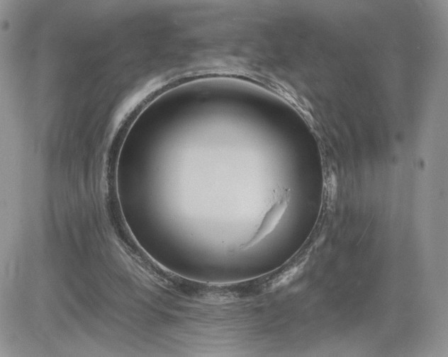 X0000081430248200701261830