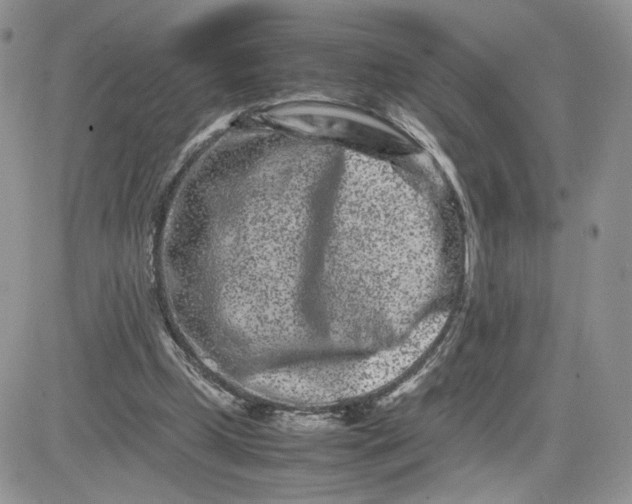 X0000081430249200701261830