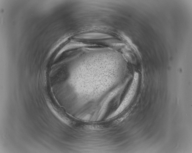 X0000081430250200701261830