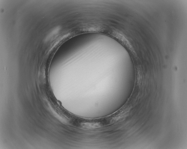 X0000081430251200701261830