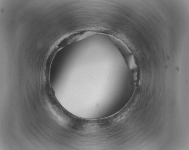 X0000081430252200701261830