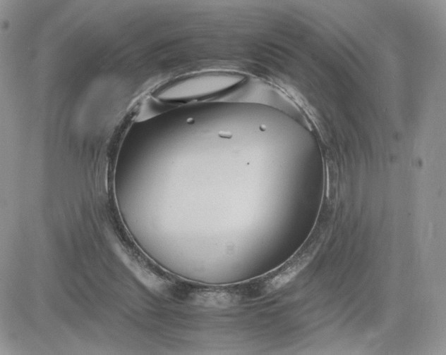 X0000081430253200701261830