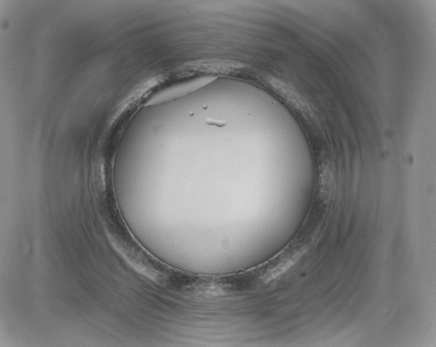 X0000081430254200701261830