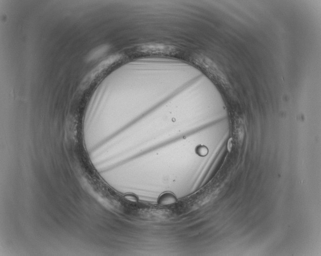 X0000081430255200701261830