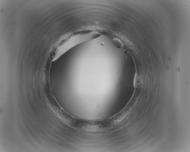 X0000081430256200701261830