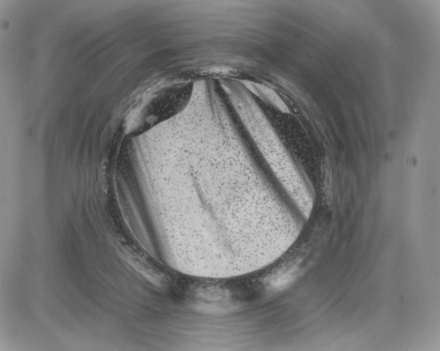 X0000081430258200701261830