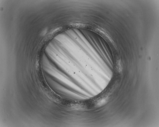 X0000081430259200701261830