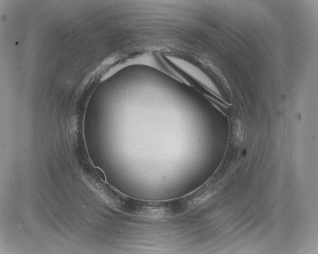 X0000081430260200701261830