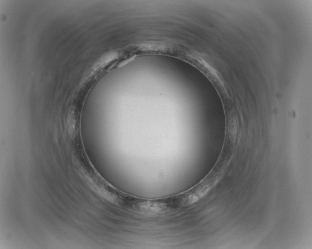 X0000081430261200701261830