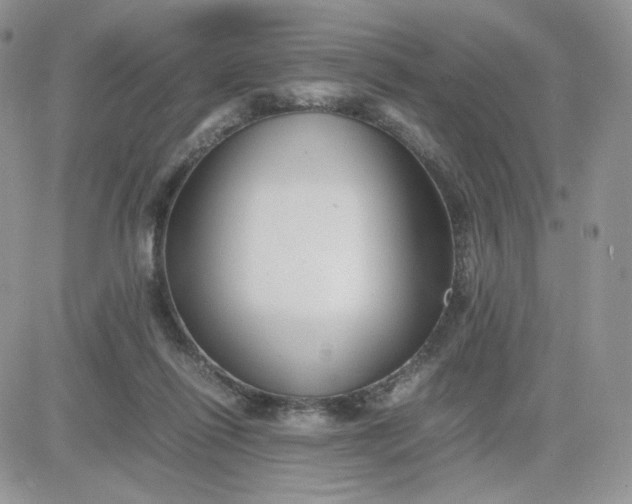 X0000081430262200701261830