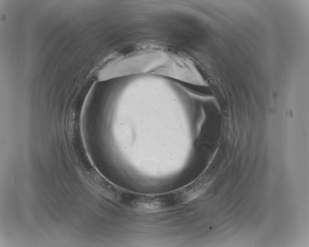 X0000081430263200701261830