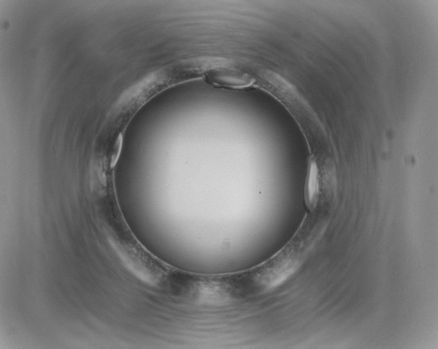 X0000081430264200701261830